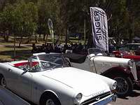 cars gathered at Oaklands Reserve